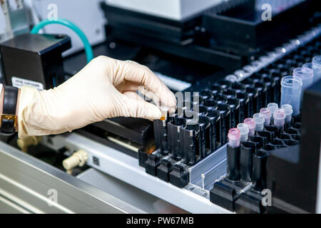 L'assistant du laboratoire place l'échantillon dans l'appareil pour l'analyse, close-up Banque D'Images