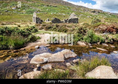 Glendasan Brockagh, vallée, Co. Wicklow, Irlande Banque D'Images