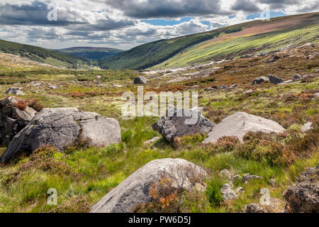 Glendasan Brockagh, vallée, Co. Wicklow, Irlande Banque D'Images