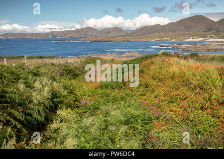 Vues vers Allihies, Péninsule de Beara, comté de Cork, Irlande, Europe. Banque D'Images