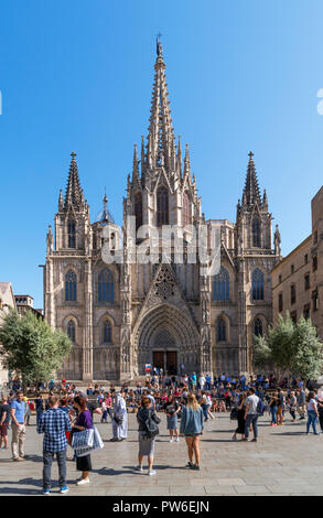 La Cathédrale de Barcelone. La cathédrale de la Sainte Croix et Sainte Eulalia de Plaça de la Seu, Barri Gotic, Barcelone, Espagne Banque D'Images