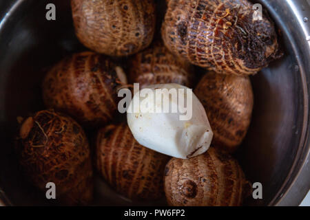 Les cormes de taro bébé (Colocasia esculenta), cru, un bol, pelées à Asuncion, Paraguay Banque D'Images