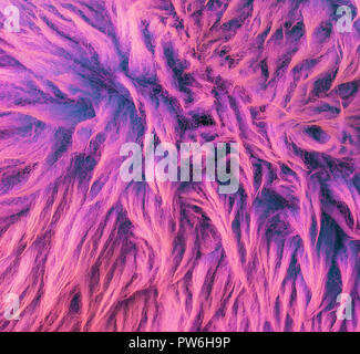 De couleur pourpre moderne poilu doux tapis peau d'animal gros plan macro texture background Banque D'Images