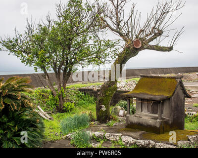 Sanctuaire Shinto sous la digue, Tosa Bay, Kochi, Shikoku, Japon Banque D'Images