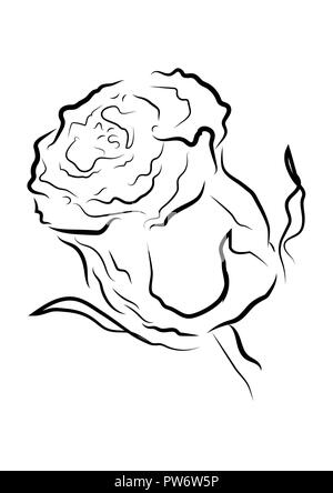 Contour noir rose avec différents effets de course Banque D'Images