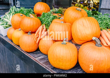 Citrouilles orange bio frais entier sur un étal le long du côté des carottes fraîches prêtes pour la vente. Banque D'Images