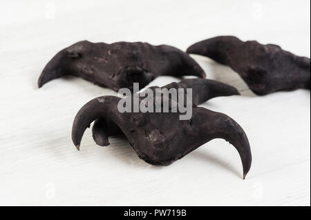 Caltrop d'eau sur un fond blanc, la châtaigne d'eau, Trapa natans Banque D'Images