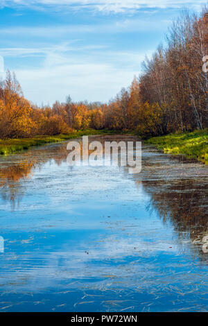 Forest river avec rives boisées de feuillus contre un ciel bleu sur un début de septembre d'après-midi Banque D'Images