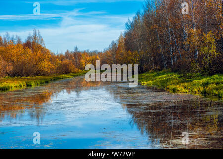 Forest river avec rives boisées de feuillus contre un ciel bleu sur un début de septembre d'après-midi Banque D'Images