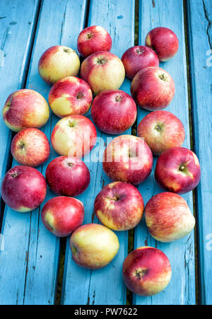 Pommes rouges se situent sur table en bois bleu Banque D'Images