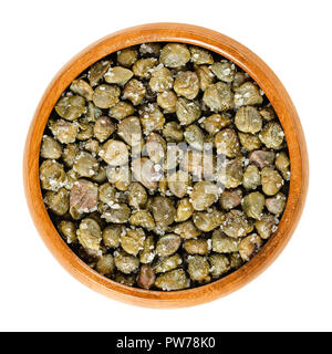 Câpres salées dans bol en bois. Green, séchées, marinées dans du sel de mer, l'assaisonnement ou en garniture. Des boutons de fleurs, capparis spinosa, caper bush, Flinders rose. Banque D'Images