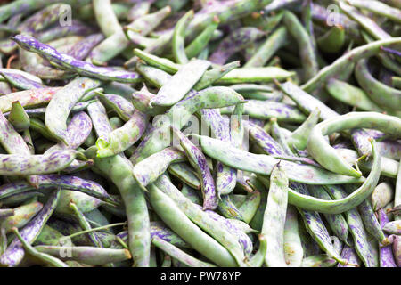 Haricots verts frais en dosettes close-up comme arrière-plan de conception. Banque D'Images