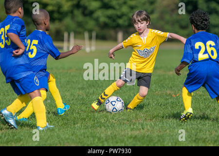 New York , le 29 septembre, 2018 : 7 et 8 ans garçons jouent un jeu de football de la ligue. Banque D'Images