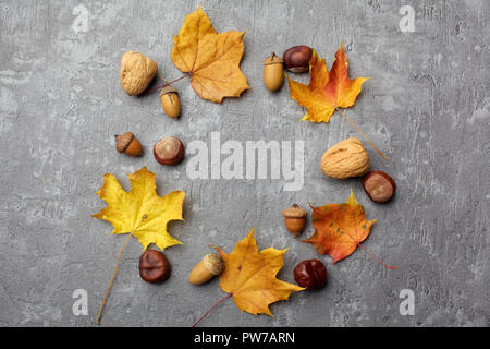 Guirlande de feuilles d'automne et de glands sur le fond gris, mise à plat Banque D'Images