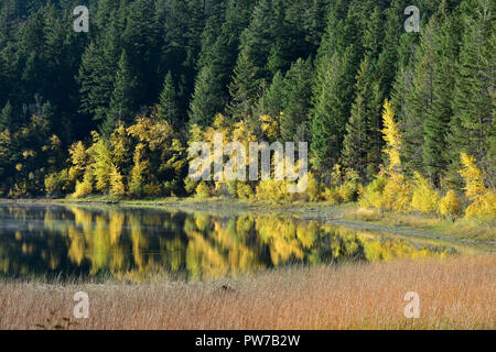 Couleurs de l'automne reflète dans un lac en Colombie-Britannique, Canada Banque D'Images