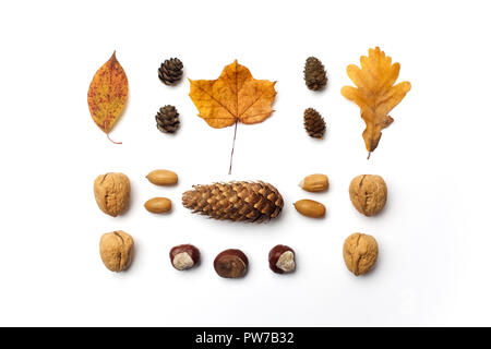 Composition d'automne. Motif de feuilles d'automne, pommes de pin sur fond blanc. Mise à plat. Banque D'Images