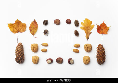 Composition d'automne, bâti fait de pommes de pin, glands et châtaignes. Mise à plat. Banque D'Images