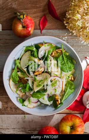 Apple et salade de fenouil aux noix et verts Banque D'Images