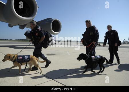 Ville d'Indianapolis Ministère de la sécurité publique l'Agence fédérale de gestion des urgences Indiana Task Force 1 équipes canines à bord d'un 89e Escadron de transport aérien C-17 Globemaster III de Wright-Patterson Air Force Base, Ohio, sur la base aérienne de Dover, Delaware, 24 septembre 2017. Recherche et sauvetage en milieu urbain à la FEMA les membres du Groupe de travail ont été transportés à Puerto Rico à contribuer aux secours à la suite de dommages de l'Ouragan Maria. Banque D'Images