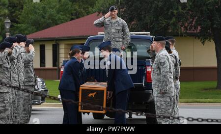 L'ABE, chien de travail militaire à la retraite, est placé à l'arrière d'un camion de patrouille par la formation des officiers subalternes de réserve cadets de base aérienne de Barksdale, en Louisiane, le 19 septembre 2017. L'Abe a servi comme un chien de travail militaire pendant environ huit ans. Banque D'Images