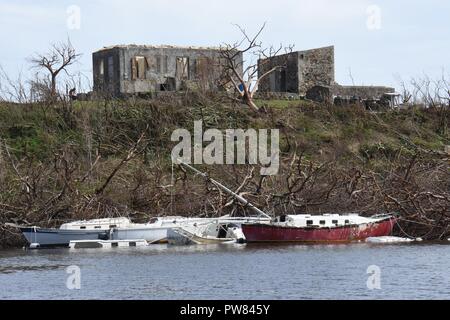 De graves dommages environnementaux et structurels imposés par le passage des ouragans Irma et Maria comme vu le 25 septembre 2017, sur l'île de Saint John dans les îles Vierges américaines. Après la tempête historique de la Garde nationale, les membres ont été déployés à partir de l'ensemble des Etats-Unis d'aider les autorités civiles à des efforts de rétablissement dans les îles Vierges américaines et Porto Rico. Banque D'Images