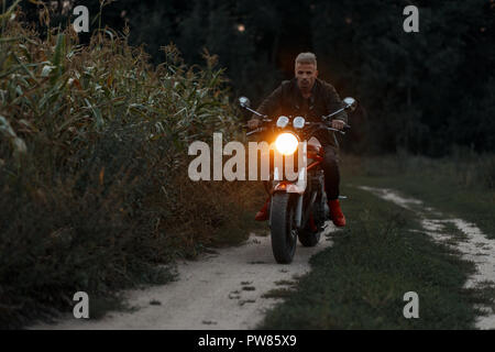 L'homme est à cheval une moto avec la lumière dans un champ de maïs dans la soirée Banque D'Images