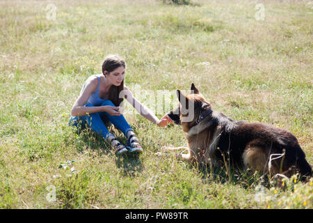 Femme joue avec le chien berger allemand lors de la formation 1 Banque D'Images