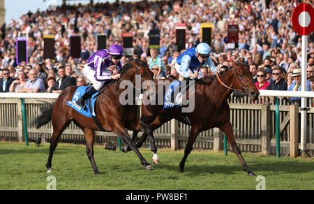 Le Roi (à droite) monté par Pierre-Charles Boudot remporte la Godolphin Masar enjeux à venir de l'automne de l'ouest de l'Australie monté par W.M. Deuxième jour de Lordan pendant deux des futurs champions de Dubaï Festival à Newmarket Racecourse. Banque D'Images