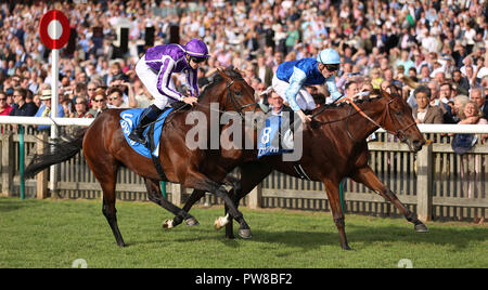 Le Roi (à droite) monté par Pierre-Charles Boudot remporte la Godolphin Masar enjeux à venir de l'automne de l'ouest de l'Australie monté par W.M. Deuxième jour de Lordan pendant deux des futurs champions de Dubaï Festival à Newmarket Racecourse. Banque D'Images