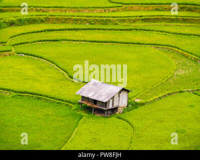 Vue imprenable de cabane ferme entourée de rizières en terrasses, Mu Cang Chai, Nord du Vietnam Banque D'Images