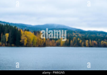 Arrière-plan flou- automne paysage norvégien (forêt boréale avec arbres jaunes). Banque D'Images