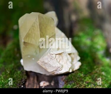 Point de quartz citrine cathédrale Brésil niché dans la matrice sur mousse, classe et de l'écorce, à rhytidome forest preserve. Banque D'Images