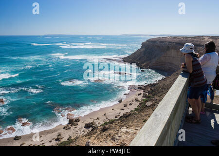 Les touristes sur la plate-forme panoramique sur les falaises au point Labatt SA donnant sur la partie continentale de l'Australie que colonie de lions de mer australiens Banque D'Images