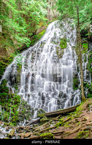 Ramona Falls de Mt Hood National Forest Banque D'Images