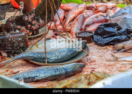Les poissons à un marché de rue dans la zone du marché de Koley Kolkata, Bengale occidental, Inde, Asie Banque D'Images