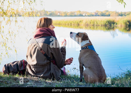 Les droits de la communication avec le chien. Jeune chien s'assoit et écoute sa femme propriétaire dans la belle nature à proximité d'un lac. Banque D'Images