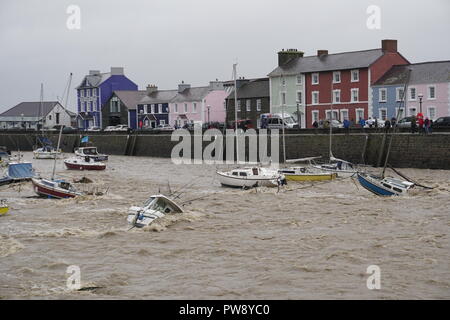 Aberaeron, UK. 13 octobre 2018. Une scène de dévastation à Aberaeron Harbour sur la côte ouest du pays de Galles cet après-midi que de fortes pluies et des vents forts de storm Callum continuent de causer du grabuge. L'eau des crues de la rivière Aeron exerçant son activité sous les arbres et grosses branches tomber sur des bateaux amarrés là dommages à de nombreux et totalement naufrage d'autres. Crédit : Anthony Pugh/Alamy Live News Banque D'Images