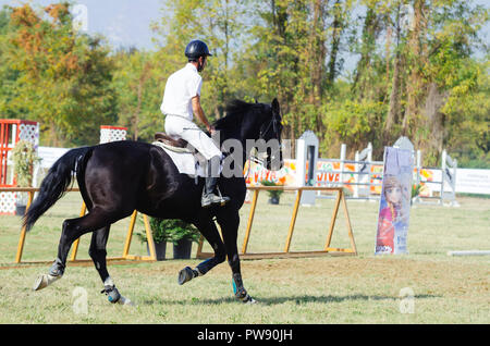 Hipodrom, Skopje, Macédoine, R. Octobre 13, 2018 13:00 CEST La Fédération des Sports Equestres de Macédoine organise le tournoi international "kopje' 2018 - COUPE MEMORIAL 'Dr. Josif Naumovski' à l'hippodrome. Six matches sont prévus, selon les normes internationales, en sautant les obstacles à une hauteur de 1 à 1,3 mètres. Credit : Dragan Ristovski/Alamy Live News Banque D'Images