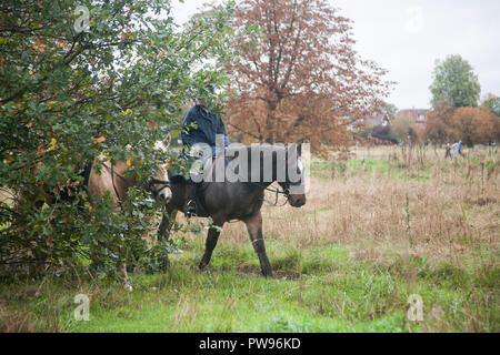 London UK. 14 octobre 2018. Les cavaliers sur Wimbledon Common sur un sombre jour d'automne : Crédit amer ghazzal/Alamy Live News Banque D'Images