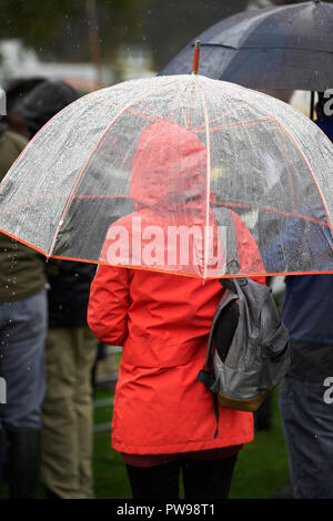 Southwick, UK. 14 octobre 2018. Parasols partout sur un jour de pluie à Southwick, East Midlands, Angleterre, 14 octobre 2018, pour le 2018 World Championships de conker. Crédit : Michael Foley/Alamy Live News Banque D'Images