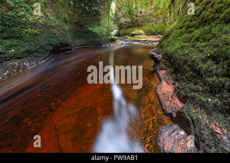 La rivière rouge sang dans une gorge verte. Devil's Pulpit, Finnich Glen, près de Killearn, Ecosse, Royaume-Uni Banque D'Images