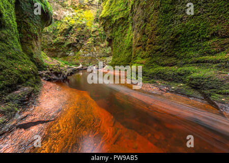 La rivière rouge sang dans une gorge verte. Devil's Pulpit, Finnich Glen, près de Killearn, Ecosse, Royaume-Uni Banque D'Images