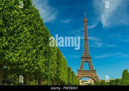 Paris en été avec la Tour Eiffel comme élément central Banque D'Images