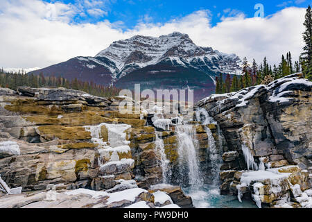 Les chutes Athabasca, Jasper National Park, Alberta, Canada Banque D'Images