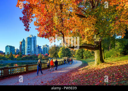 Le parc Stanley seawall, Vancouver, British Columbia, Canada Banque D'Images