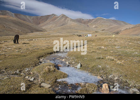 Rivière gelée et camping le long de la Tso Moriri trek, Ladakh, Inde Banque D'Images