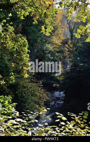 Le Auldhouse brûler tombe dans la gorge profond et sombre au-dessus des chutes dans Rouken Glen Park au cours de l'automne à East Renfrewshire, en Écosse, Royaume-Uni, Europe Banque D'Images