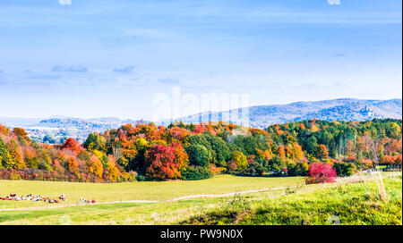 Vue sur le paysage d'arbres colorés par Wernigerode en automne Banque D'Images