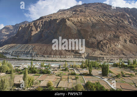 Les champs fertiles dans le village de Balti, Turtuk le long des fleuves Shyok River et plage de Karakoram, Ladakh, Inde Banque D'Images