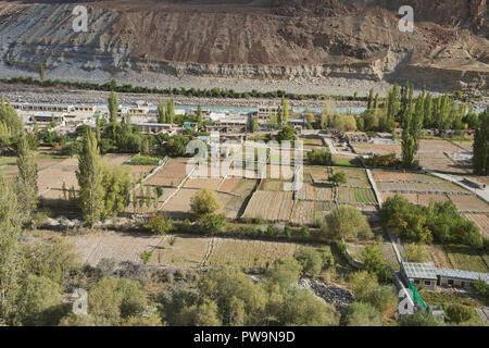 Les champs fertiles dans le village de Balti, Turtuk le long des fleuves Shyok River et plage de Karakoram, Ladakh, Inde Banque D'Images